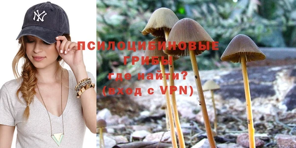 каннабис Алзамай