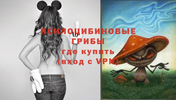 сатива Алексин