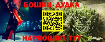 PSILOCYBIN Заволжье