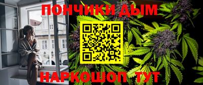 PSILOCYBIN Заволжье