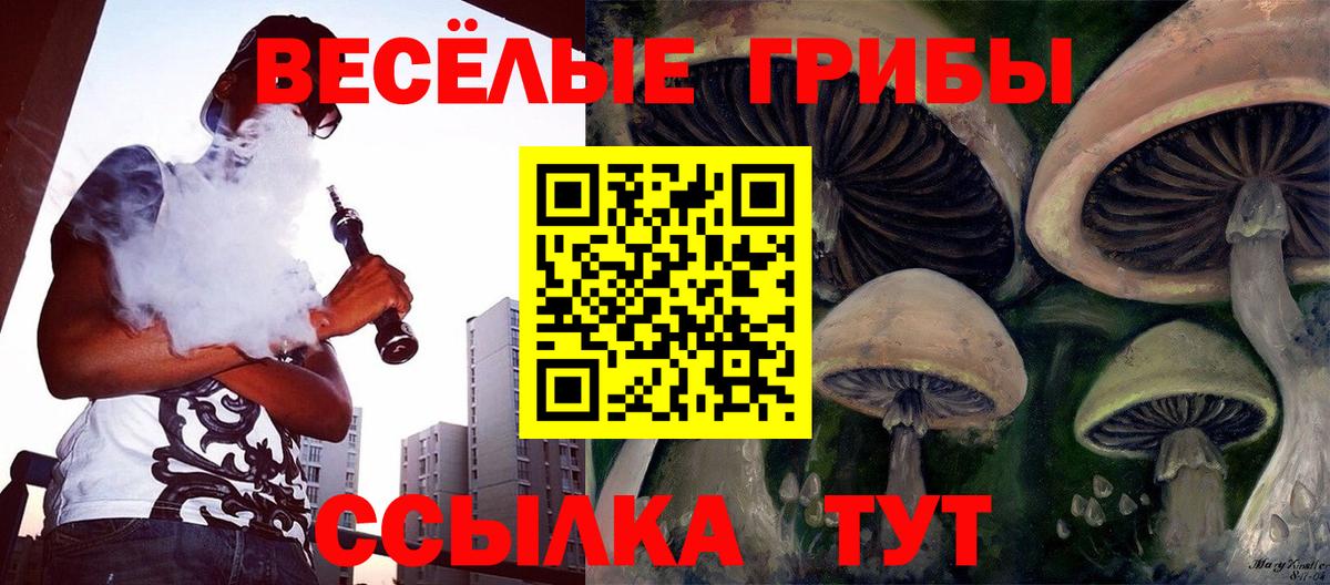 Псилоцибиновые грибы мухоморы Менделеевск